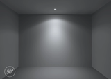 Brightgreen D900.CL Classic Downlight