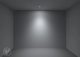 Brightgreen D900.CL Classic Downlight